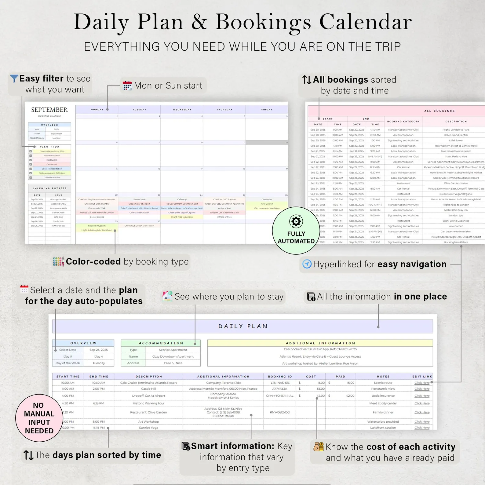 Detailed Daily Plan — hour by hour