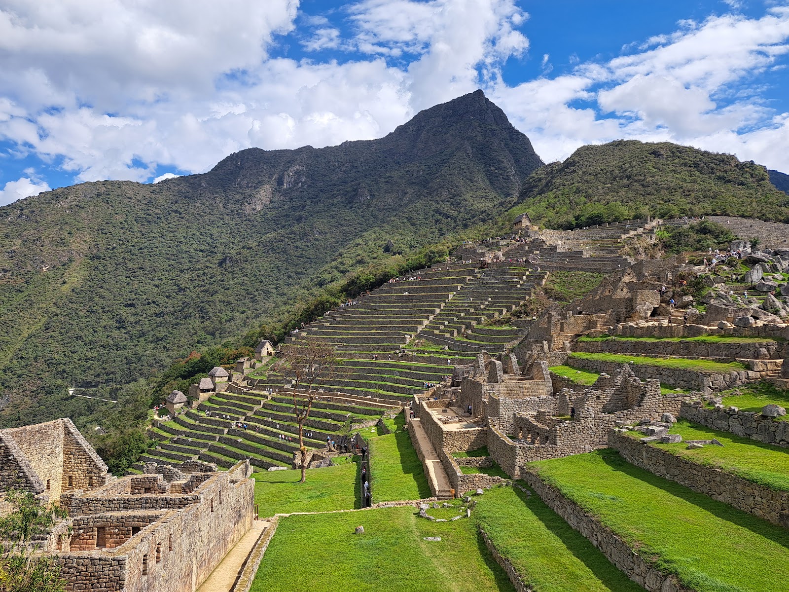Machu Picchu