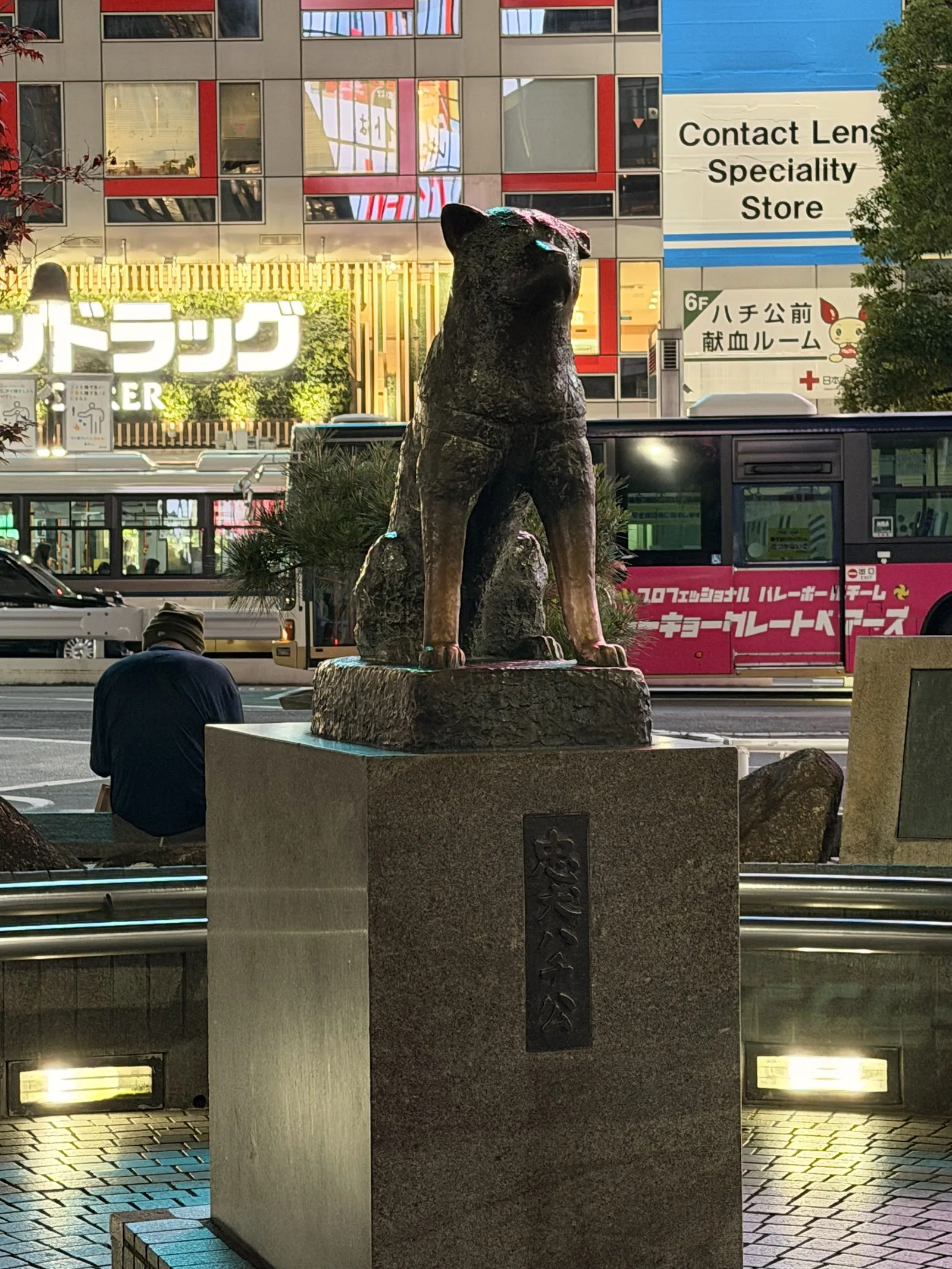 Tokyo photo 3